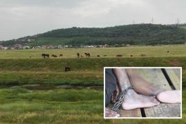 Descoperire şocantă în Iaşi. Un copil de 10 ani era ţinut în lanţuri de părinţii lui, pe malul Bahluiului
