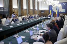 Guvernul Dăncilă în ședință