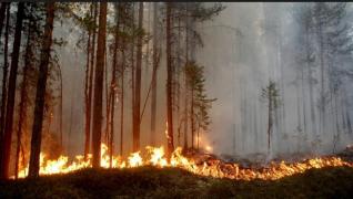 Incendii de pădure în Karbole, Suedia