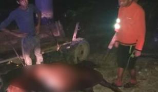 Un cal care a murit de epuizare a fost aruncat de stăpân sub un pod din Găeşti