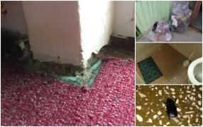 Imagini de coșmar într-un hotel din Eforie Nord: gândaci în camere, duș legat de chiuvetă și un miros insuportabil (Foto)