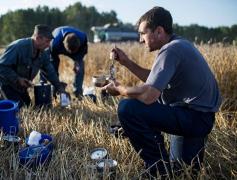 România importă tot mai multă forţă de muncă străină. Cei mai mulţi angajaţi vin din Vietnam, Nepal şi India