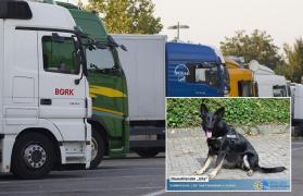 Doi români, spaima parcărilor de TIR-uri din Germania, au fost prinşi la furat motorină din camioane de Ulla, un câine poliţist care i-a pus la pământ