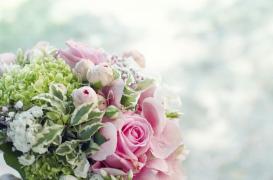 Florile potrivite sezonului cald