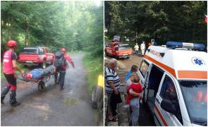 O tânără din Iași a intrat în șoc anafilactic după ce a fost înțepată de o albină, în masivul Ceahlău