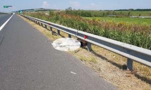 Urs spulberat de un camion, pe autostrada Sibiu-Orăştie