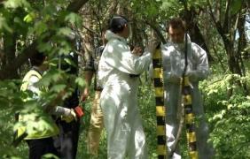 Un băieţel de 12 ani şi-a găsit tatăl fără suflare în livadă, la Telciu, în Bistriţa. Bărbatul avea mai multe tăieturi pe abdomen