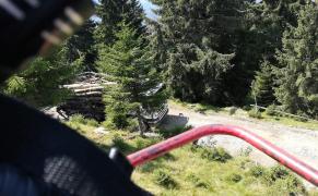 Un tată şi fiul său, în stare de şoc