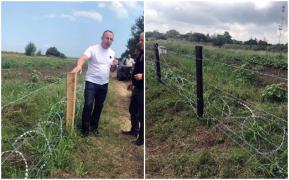 Bulgarii ridică garduri pe zeci de kilometri la granița cu România de frica pestei porcine (Video)