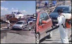 Cum se dezinfectează de pestă porcină la Galaţi