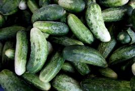 Castraveţi cornichon într-o ladă, pentru vânzare