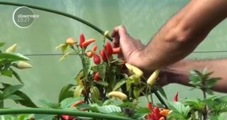 Peste 2.100 de locuri de muncă pentru români, în mai multe state din Europa