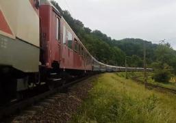 Copaci căzuți pe calea ferată între Predeal și Timișu de Sus. Mai multe trenuri au fost blocate