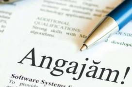 Peste 24.500 de locuri de muncă sunt vacante la nivel naţional