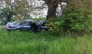 Cu ochii în telefonul mobil, o tânără a zburat de pe şosea direct într-un copac, la Timişoara. E în stare gravă, la spital