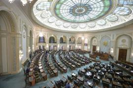 Redefinirea familiei în Constituţie, adoptată în Senat.  PSD, PNL, ALDE şi UDMR au susţinut modificările, USR se opune