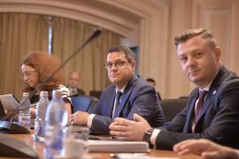 Eduard Hellvig, audiat opt ore in Comisia SRI