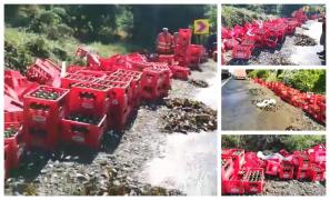 Peste 1300 de navete cu bere împrăştiate pe şosea, la Tecuci (Video)