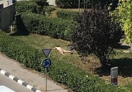 O tânără de 21 de ani s-a dezbrăcat complet, în faţa Direcţiei de Finanţe Giurgiu: "Mă bronzez"