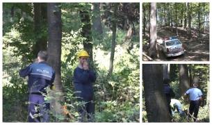 Petru a venit din străinătate pentru că i-a ars casa şi a murit în pădure, strivit de copacul pe care îl tăia (Video)