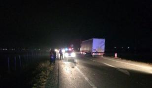 Accident şocant între Adjud şi Oneşti. O tânără de 25 de ani a murit, maşina în care era fiind lovită de un cal