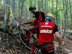 Turisti atacati de un roi de viespi in Bucegi