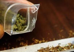 Consumul de etnobotanice nu mai este infracţiune în România. ÎCCJ a dat undă verde la consumul de entobotanice