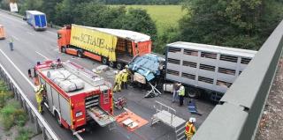 Doi şoferi români, implicaţi înt-run accident mortal în Germania