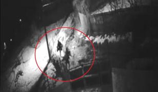 Cei trei hoţi de găini au fost filmaţi când s-au rătăcit pe uliţele satului