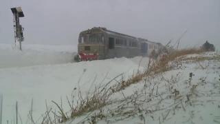 Două trenuri de călători blocate în câmp, în Gorj. Ambele au probleme tehnice la locomotive