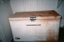 Un tânăr din Alba şi-a ţinut tatăl mort în congelator dintr-un motiv incredibil