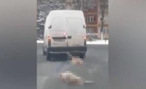 Porci morţi legaţi de maşină în Resiţa