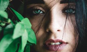 Zodiac prezentat de Observator