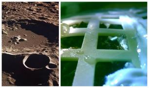 Seminţele de bumbac duse de chinezi pe partea întunecată a Lunii au încolţit (Video)