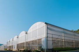 Cum încălzim o seră sau un depozit