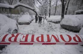 Zeci de copaci doborâţi de vânt în Bucureşti şi judeţul Ilfov