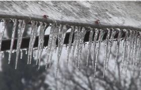 Cod portocaliu și galben de polei în București și 8 județe