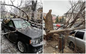 Bani pentru reparatia mașinilor avariate de ploaia înghețată, în Sectorul 4 al Capitalei