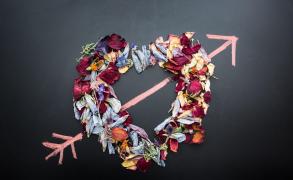 Zodiac prezentat de Observator