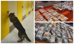 Avere fabuloasă descoperită de un câine, într-un depozit din Torino (Video)