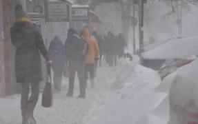 Ninge pe o stradă din Bucureşti, în timp de iarnă