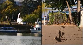 Șofer filmat cu duba pe scări, în Parcul Regele Mihai I