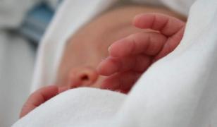 Detalii teribile după efectuarea necropisiei bebeluşului găsit mort în tomberon. Copila a fost născută şi ucisă în aceeaşi zi