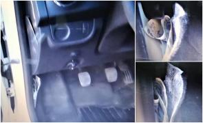 Poliţist din Bistrița reţinut, după ce a luat mită a 8-a oară. Ascundea banii în cheder, lângă pedalele maşinii