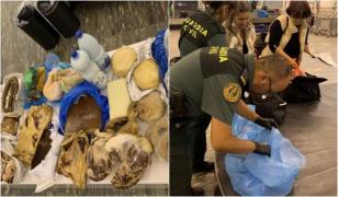 Mâncare românească în Spania