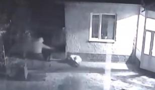 Doi fraţi, asasini plătiţi