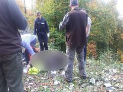 Ursul urmează să fie operat la picior