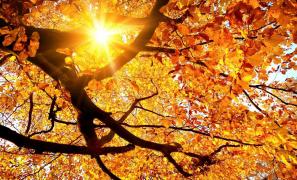 Soare într-o zi caldă de toamnă