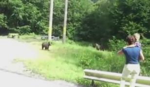 Fetiţă de 4 ani atacată de urs, în oraşul Victoria. Mesaj RO-Alert, după atac