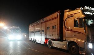 Şofer român de TIR